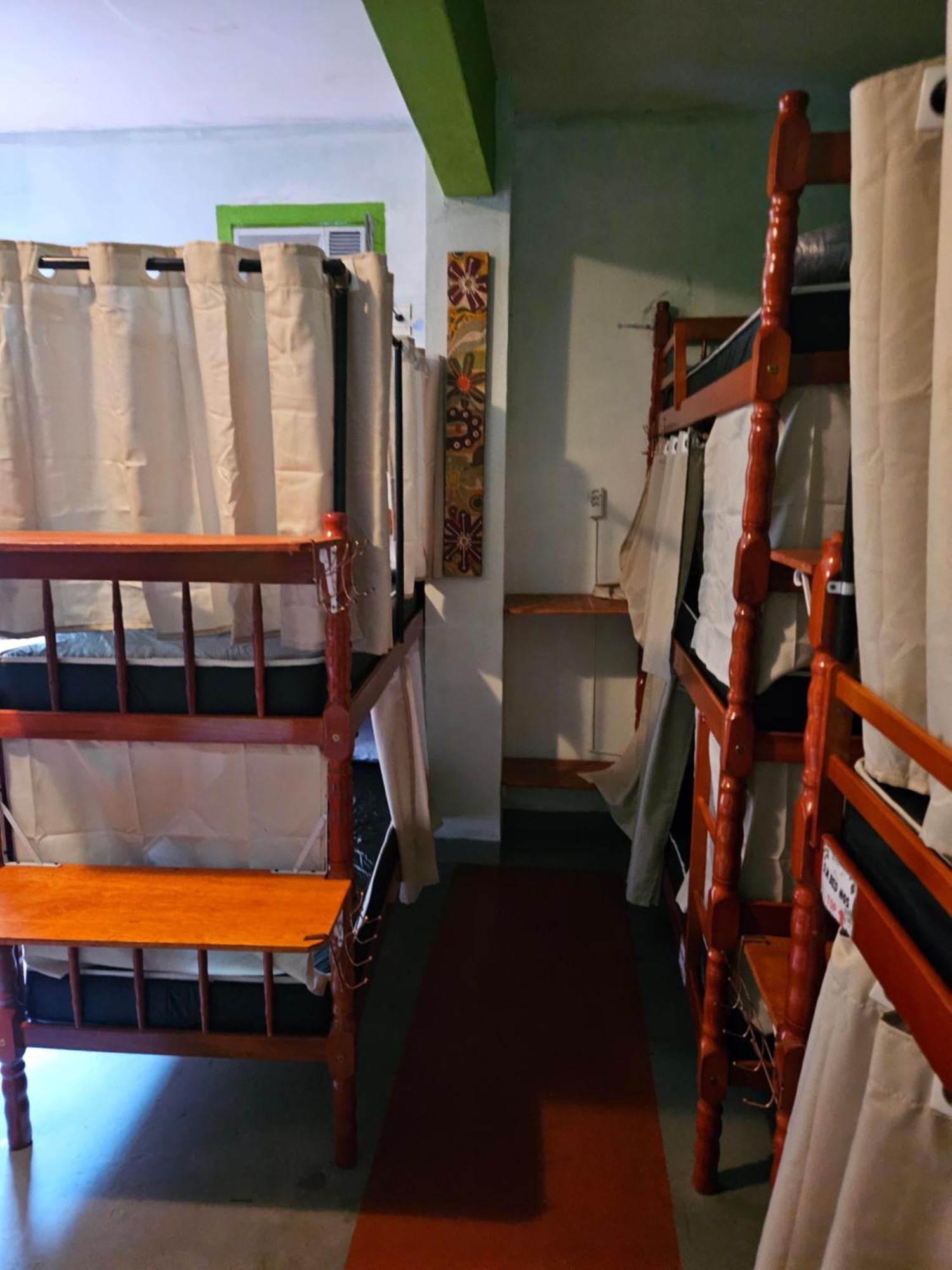 Bunk Bed Mixed Dormitory Room
