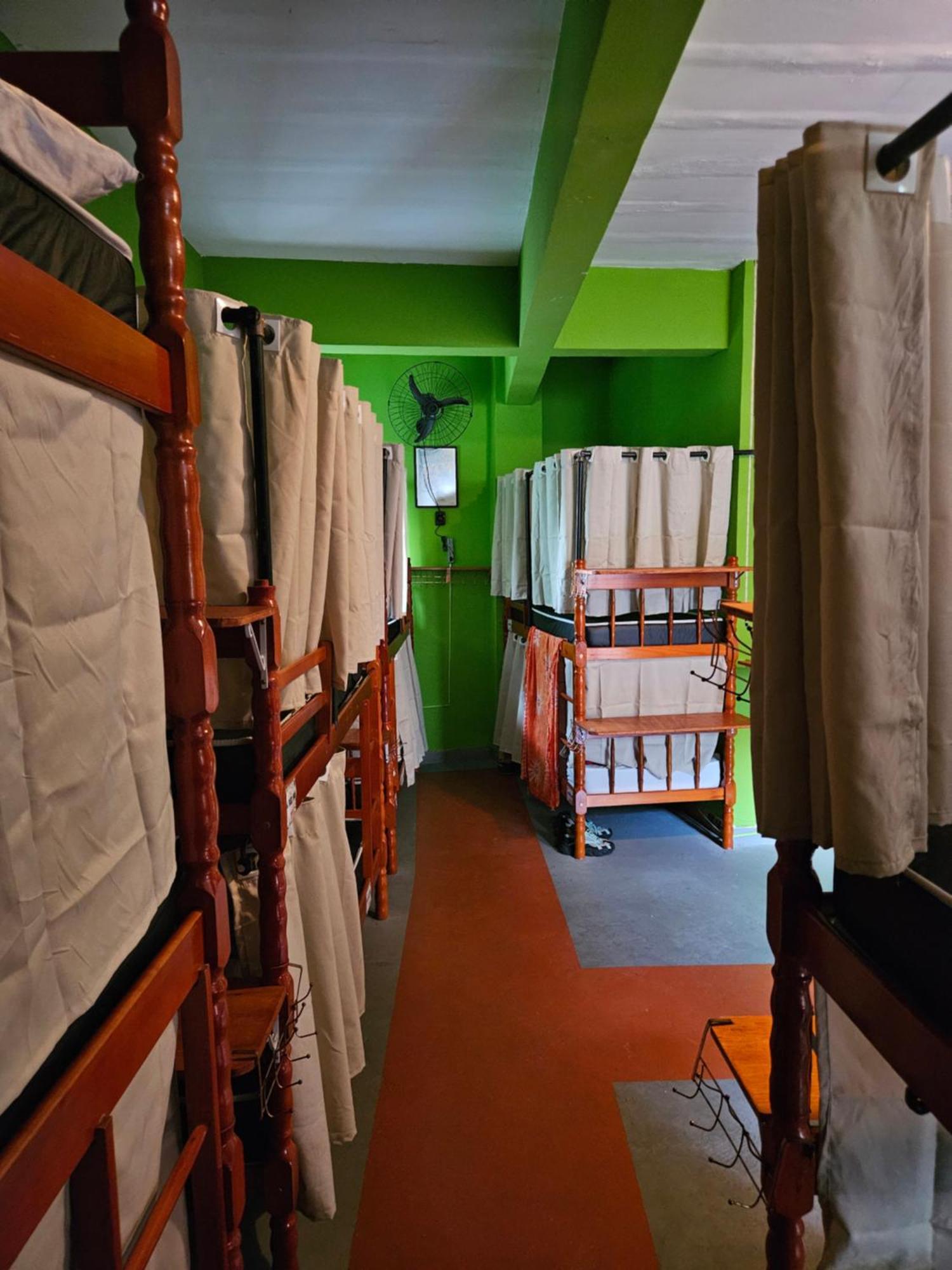 Bunk Bed Mixed Dormitory Room