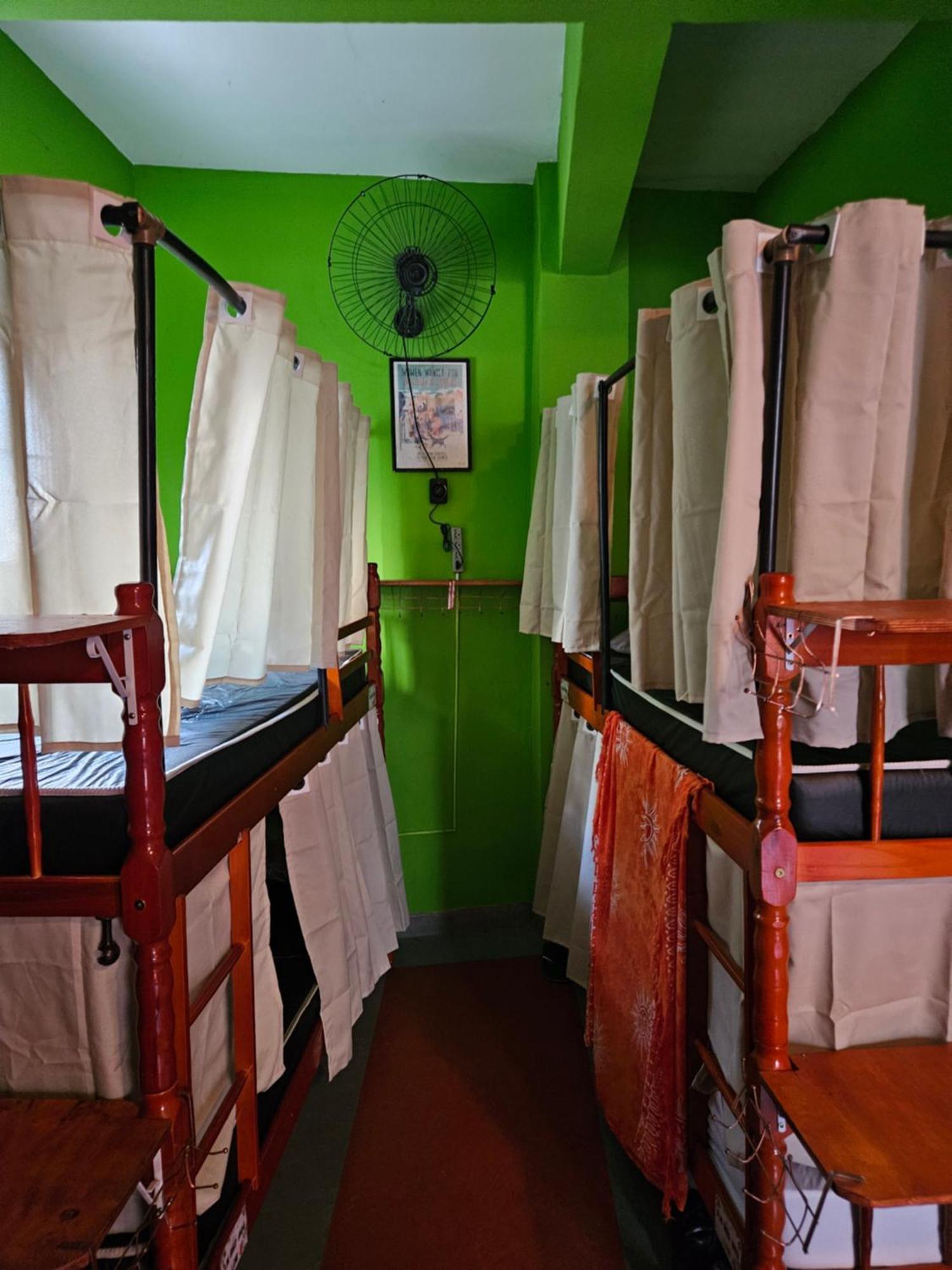 Bunk Bed Mixed Dormitory Room