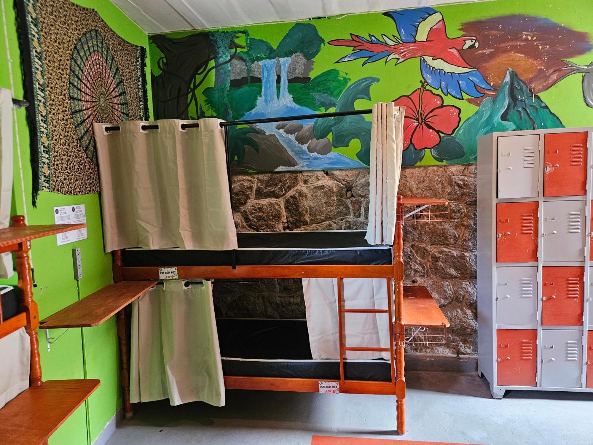Bunk Bed Mixed Dormitory Room
